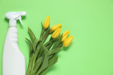 Photo of Spring cleaning. Detergent and flowers on green background, flat lay. Space for text