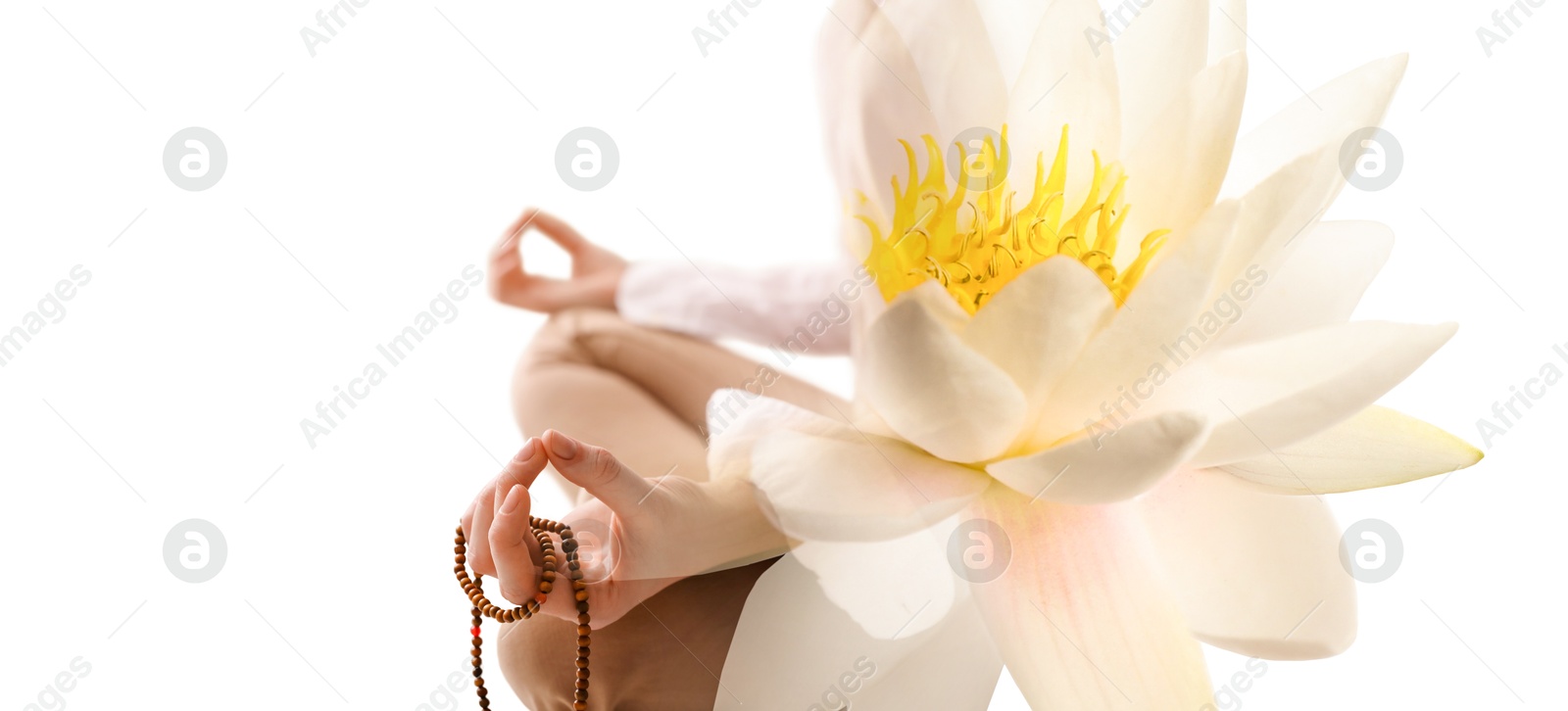 Image of Woman meditating, double exposure with beautiful lotus flower on white background, closeup. Padmasana (yoga lotus position)