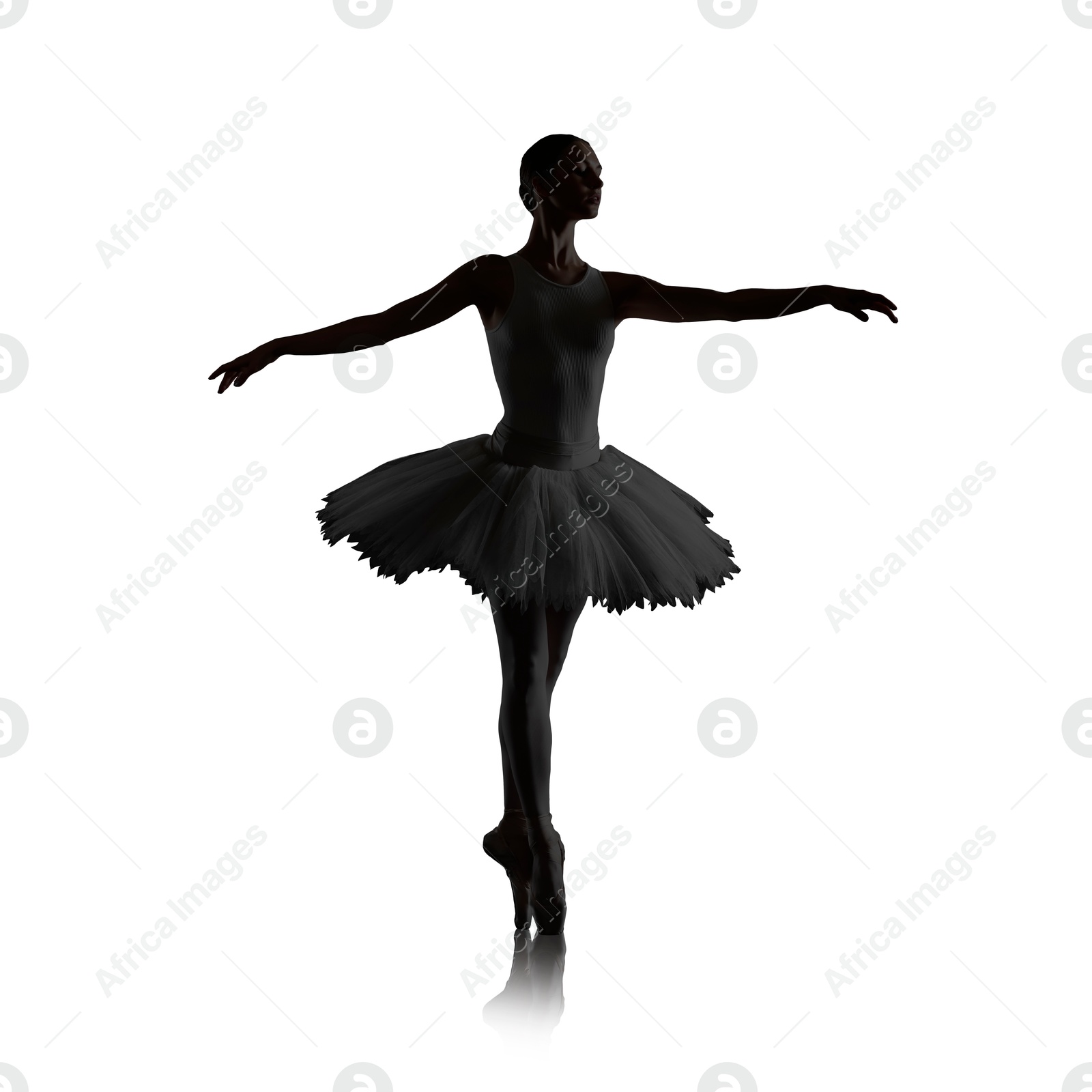 Image of Silhouette of ballerina practicing dance moves on white background