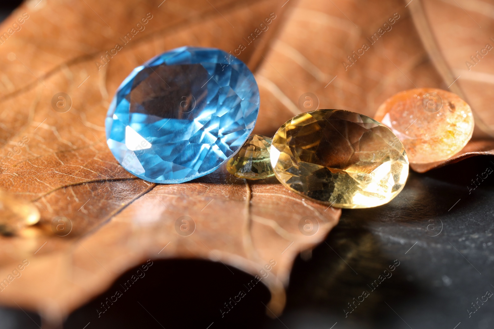 Photo of Beautiful shiny gemstones and dry leaf on black background, closeup