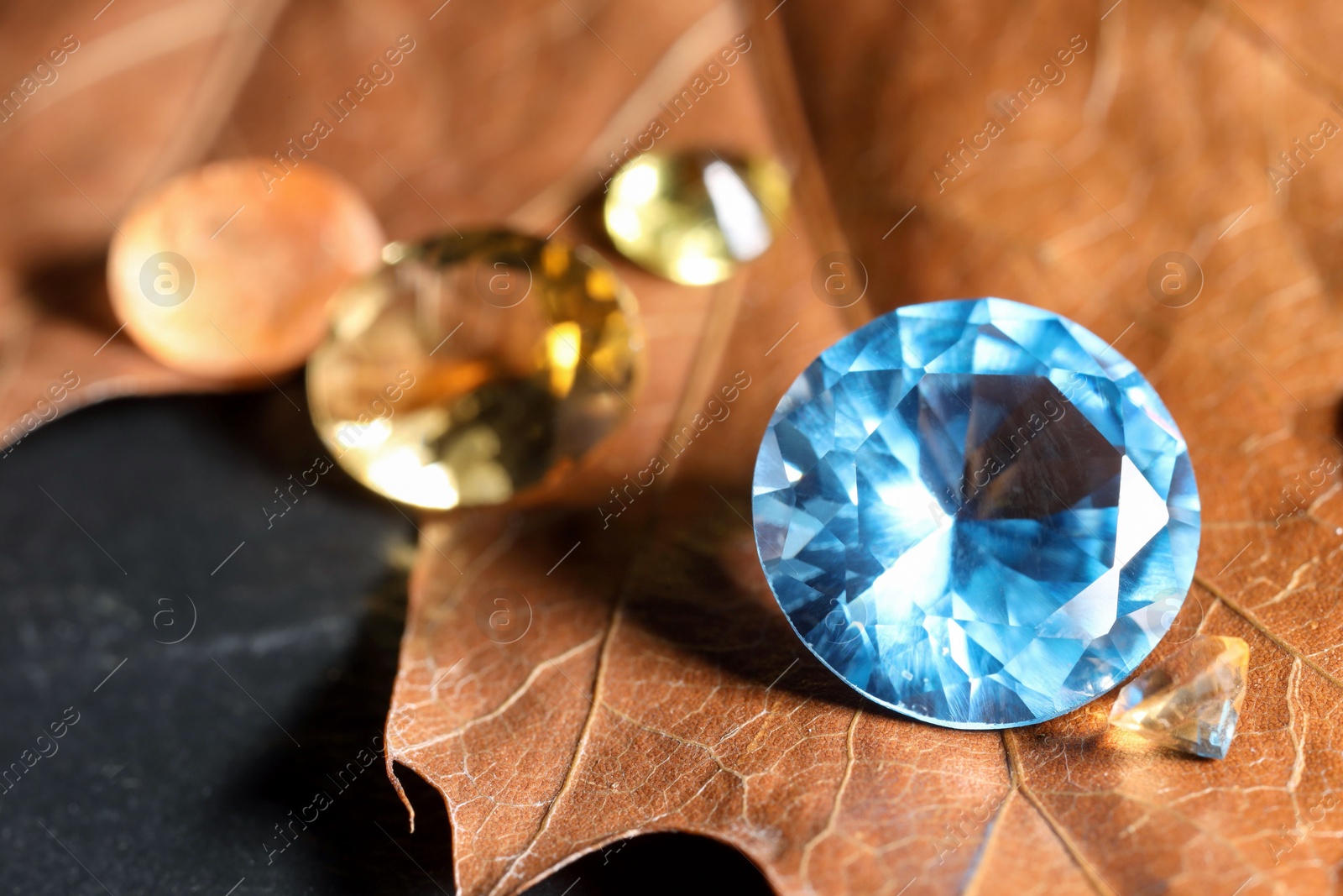 Photo of Beautiful shiny gemstones and dry leaf on black background, closeup