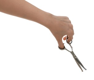 Photo of Woman with scissors for pet grooming on white background, closeup