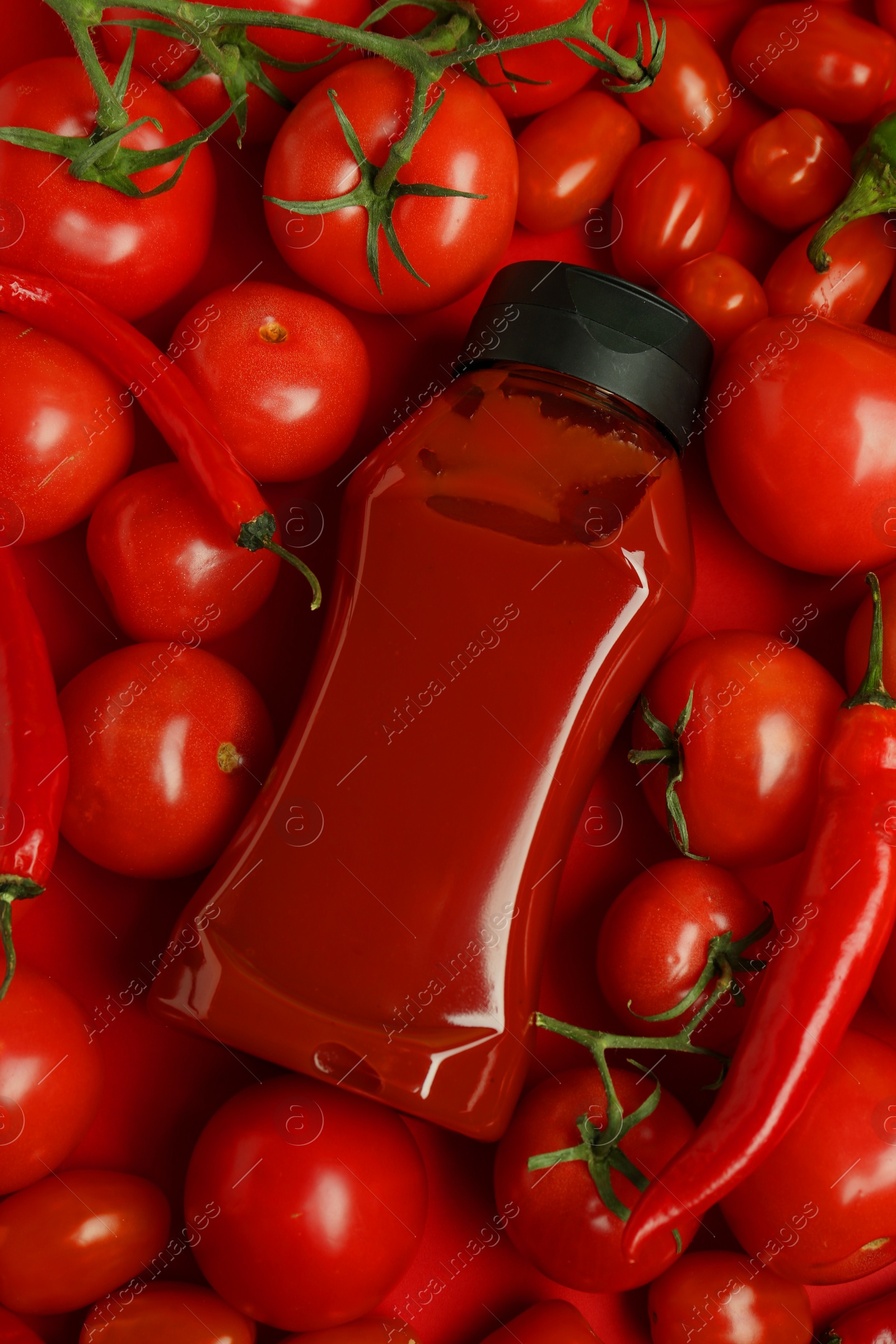 Photo of Bottle of ketchup, tomatoes and chili peppers on red background, top view