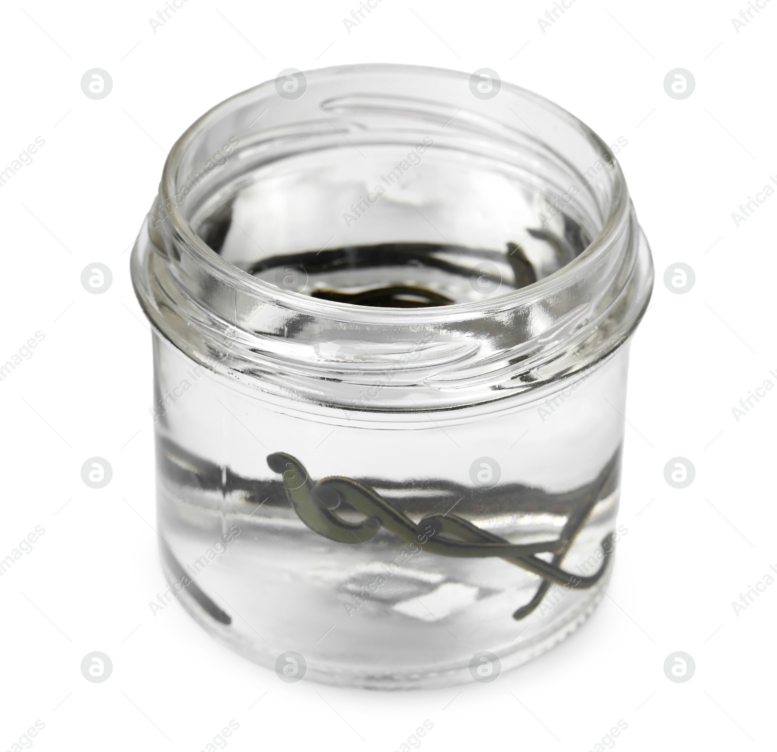 Photo of Medicinal leeches in glass jar isolated on white