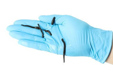 Photo of Doctor holding medicinal leeches on white background, top view