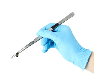 Photo of Doctor holding medicinal leech with tweezers on white background, closeup