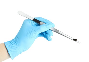 Doctor holding medicinal leech with tweezers on white background, closeup