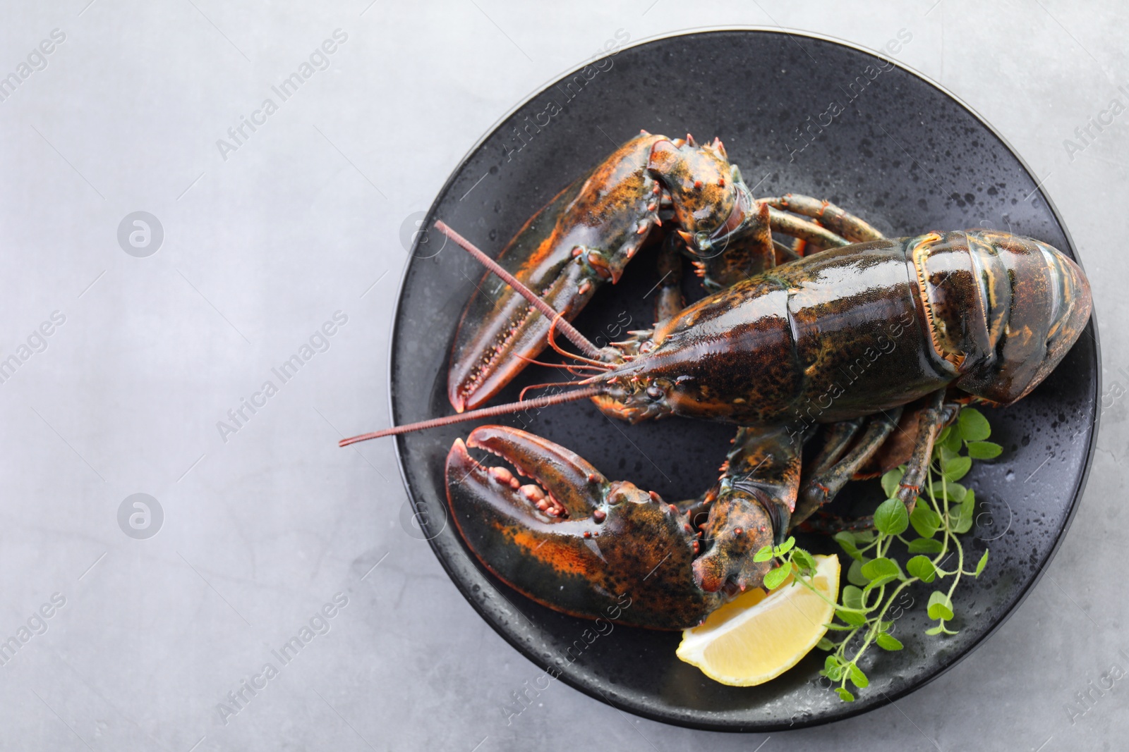 Photo of Raw lobster, piece of lemon and microgreens on grey textured table, top view. Space for text