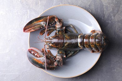 Photo of Raw lobster on grey table, top view