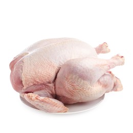 Photo of One whole raw turkey isolated on white