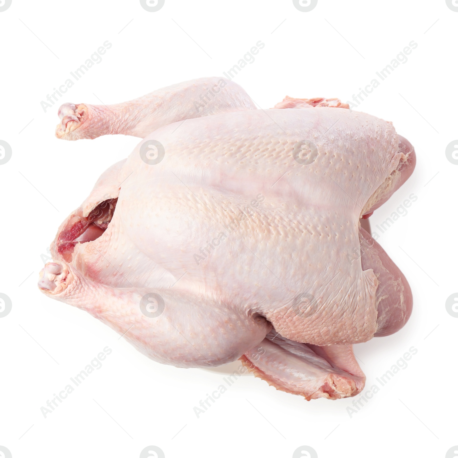 Photo of One whole raw turkey isolated on white, top view