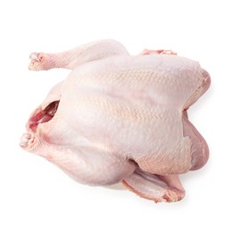 Photo of One whole raw turkey isolated on white, top view