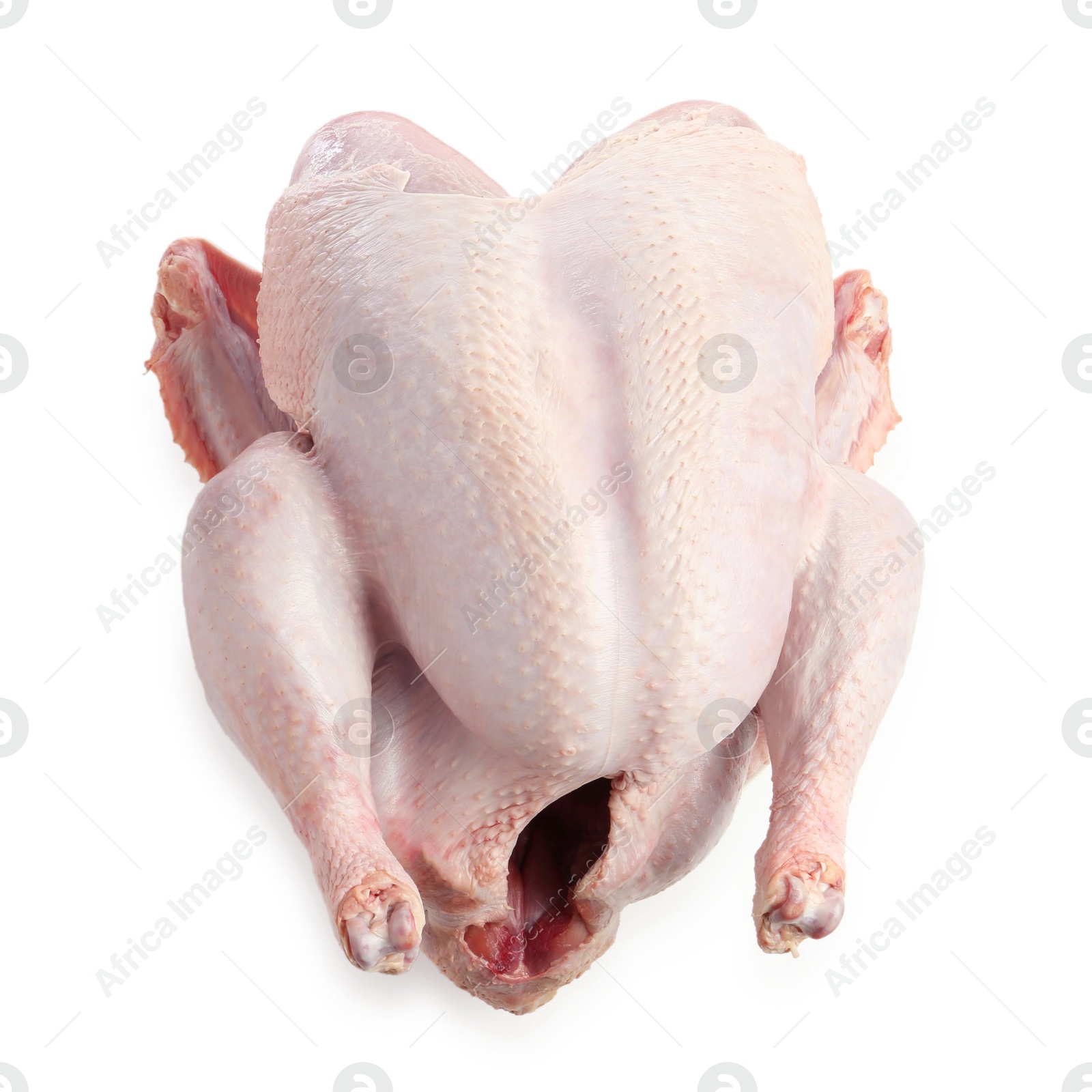 Photo of One whole raw turkey isolated on white, top view