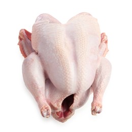 Photo of One whole raw turkey isolated on white, top view