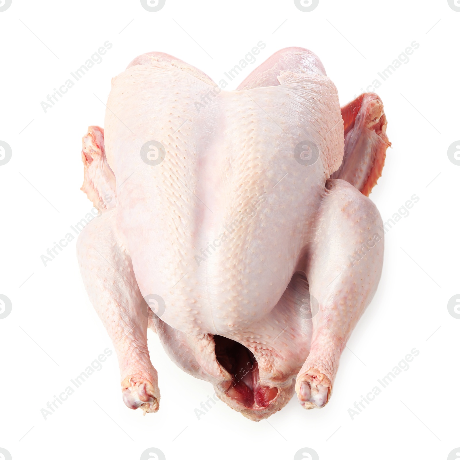 Photo of One whole raw turkey isolated on white, top view