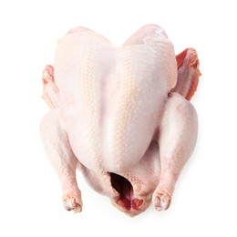 Photo of One whole raw turkey isolated on white, top view