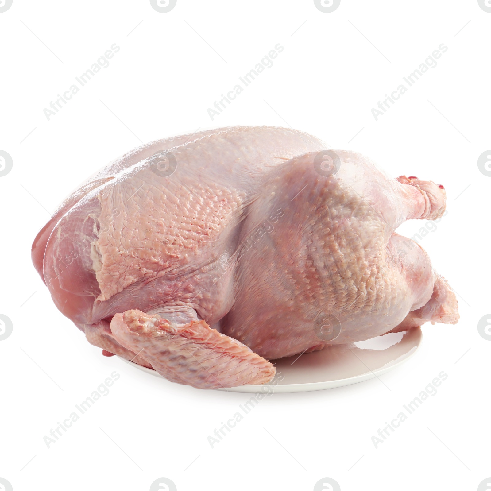 Photo of One whole raw turkey isolated on white