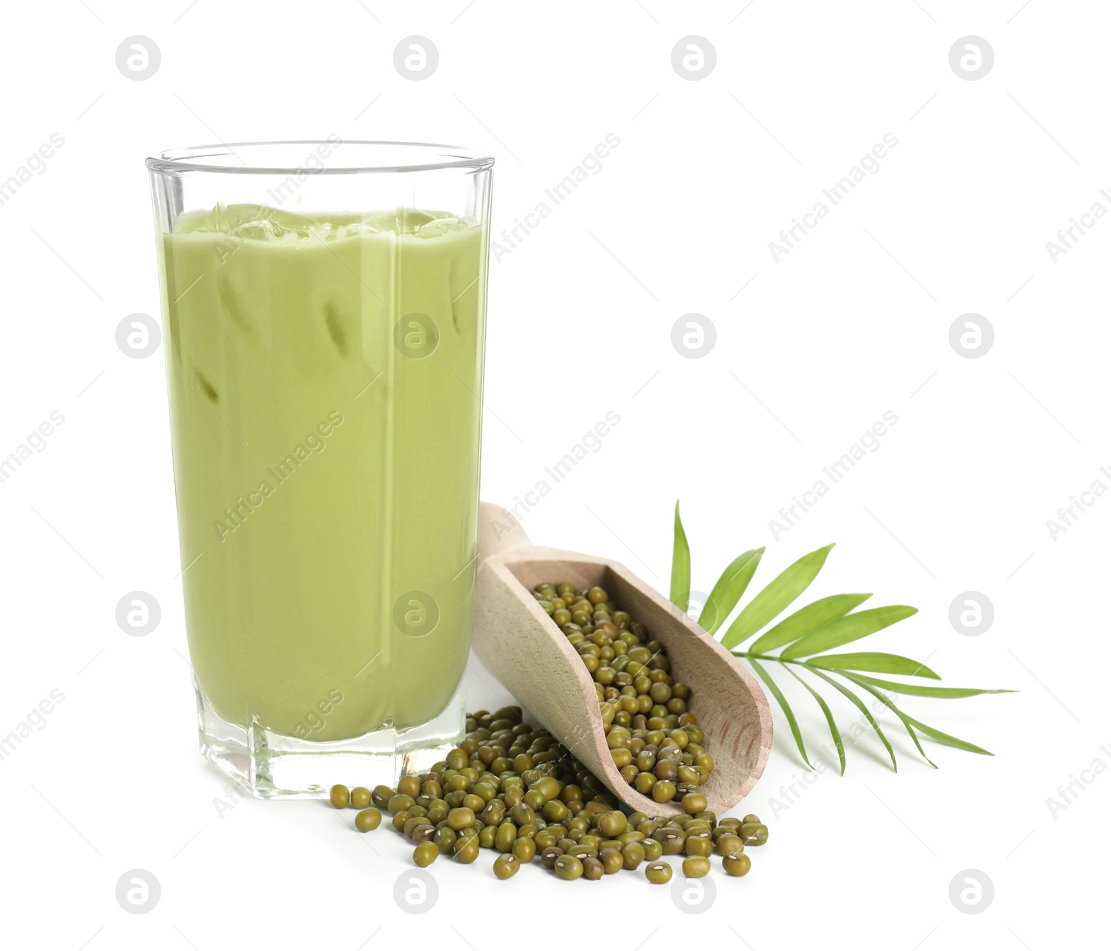 Fresh mung bean juice in glass, seeds, scoop and green twig isolated on white Photo of Fresh mung bean juice in glass, seeds, scoop and green twig isolated on white