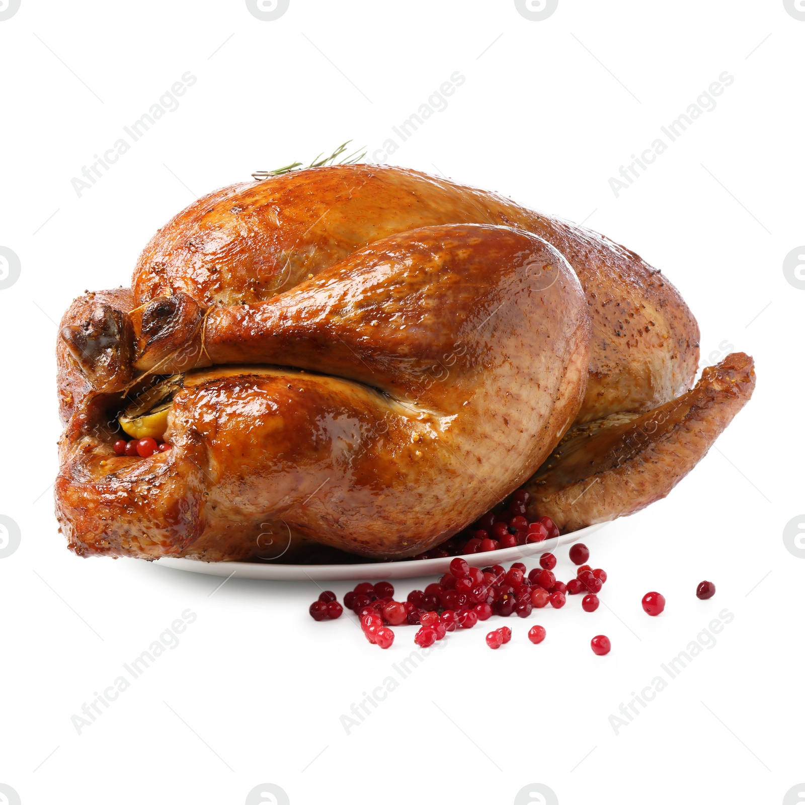 Photo of Whole baked turkey with cranberries and rosemary isolated on white