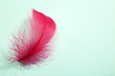 Photo of One fluffy pink feather on light background, closeup. Space for text