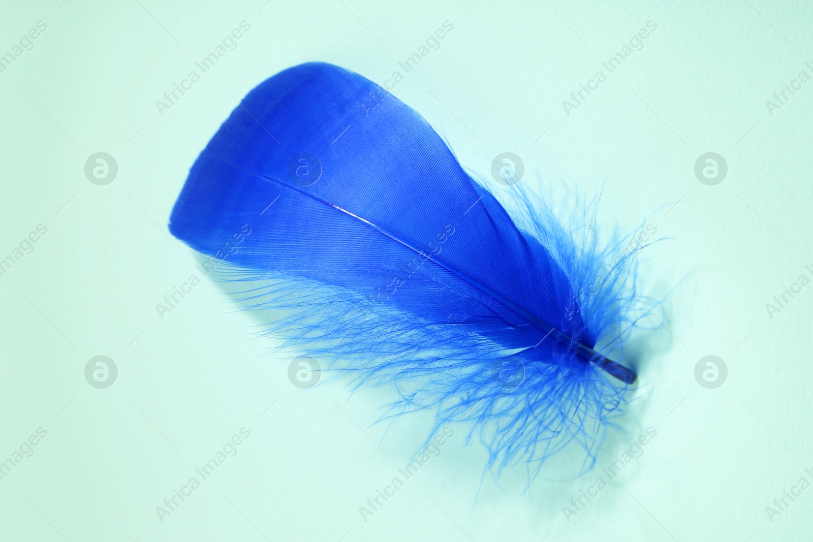 Photo of One fluffy blue feather on light background, top view