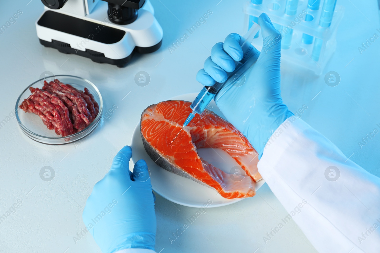 Photo of GMO concept. Scientist injecting something into piece of salmon at table in laboratory, closeup