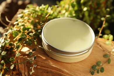 Photo of Natural solid perfume and plant on wood, closeup