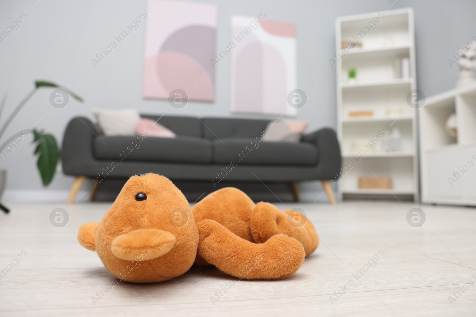 Photo of Lost brown teddy bear on floor in room, closeup. Space for text