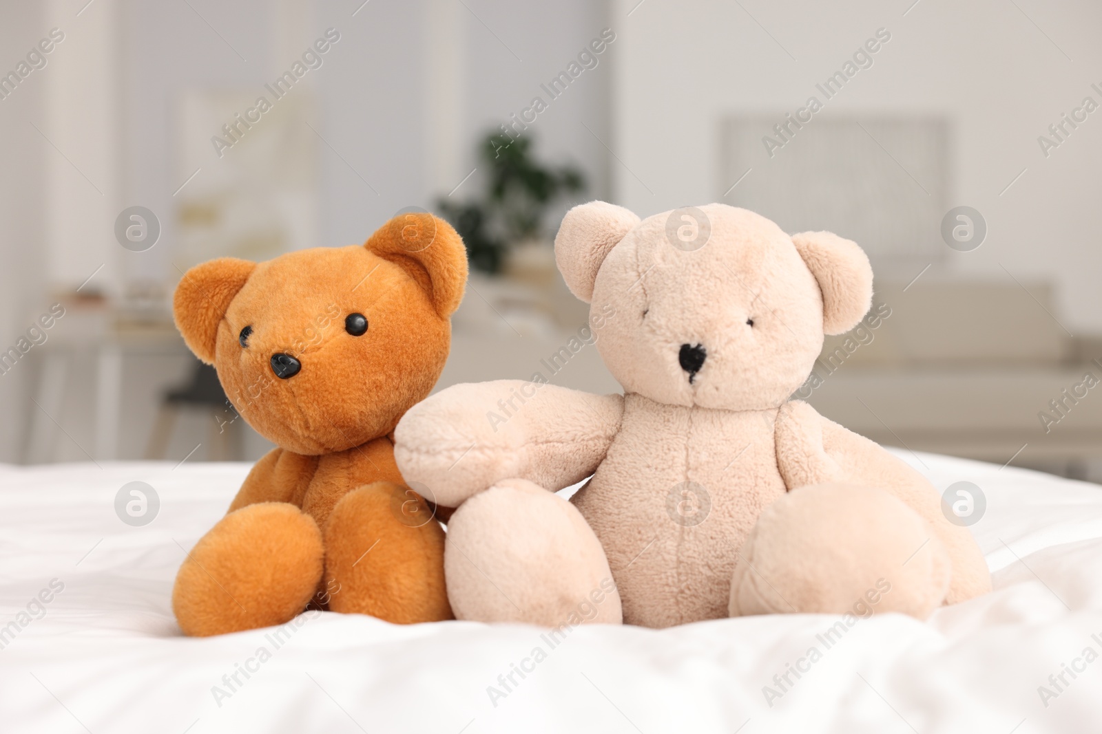 Photo of Cute teddy bears on bed in room, closeup