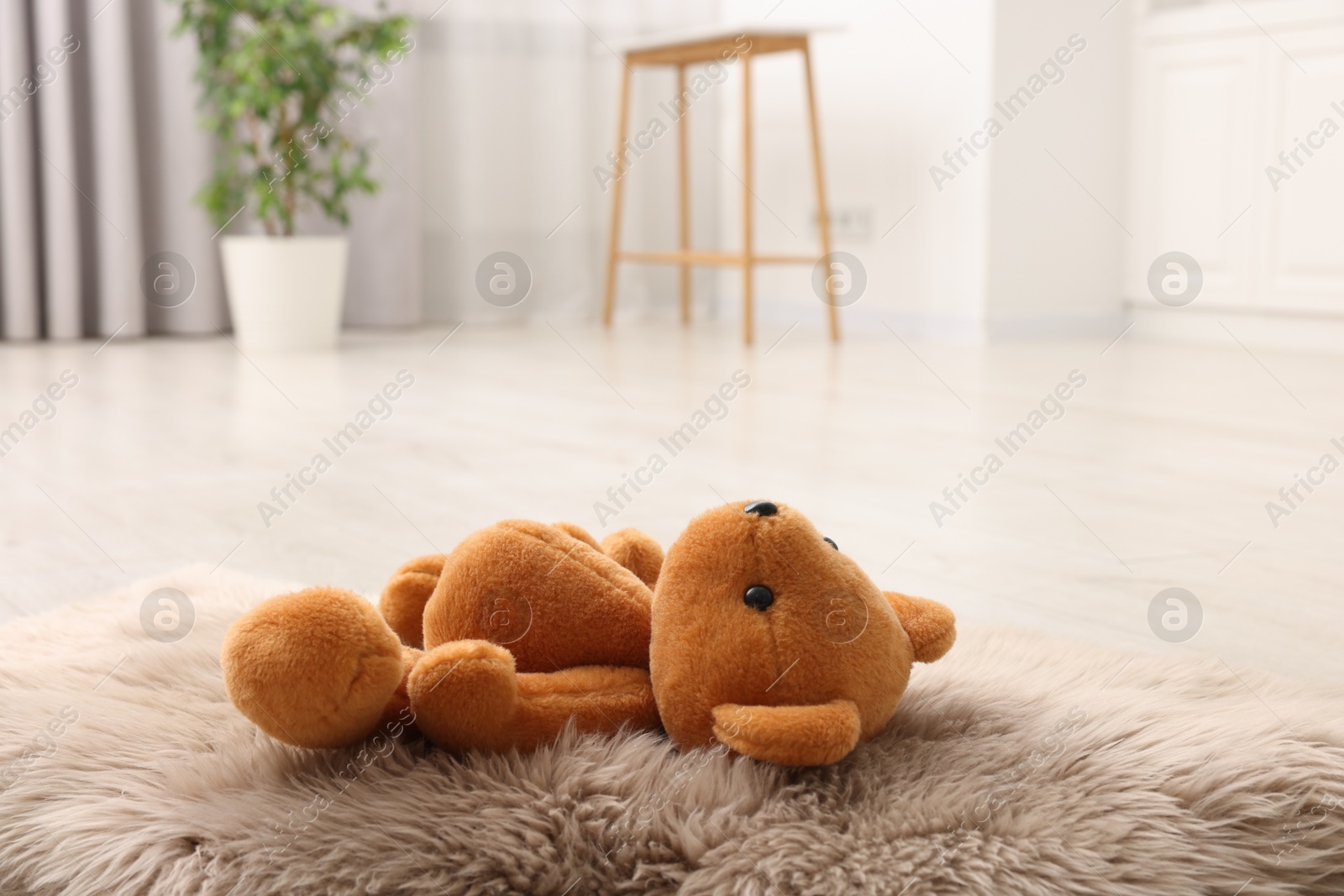 Photo of Lost teddy bear on fluffy rug in room, closeup