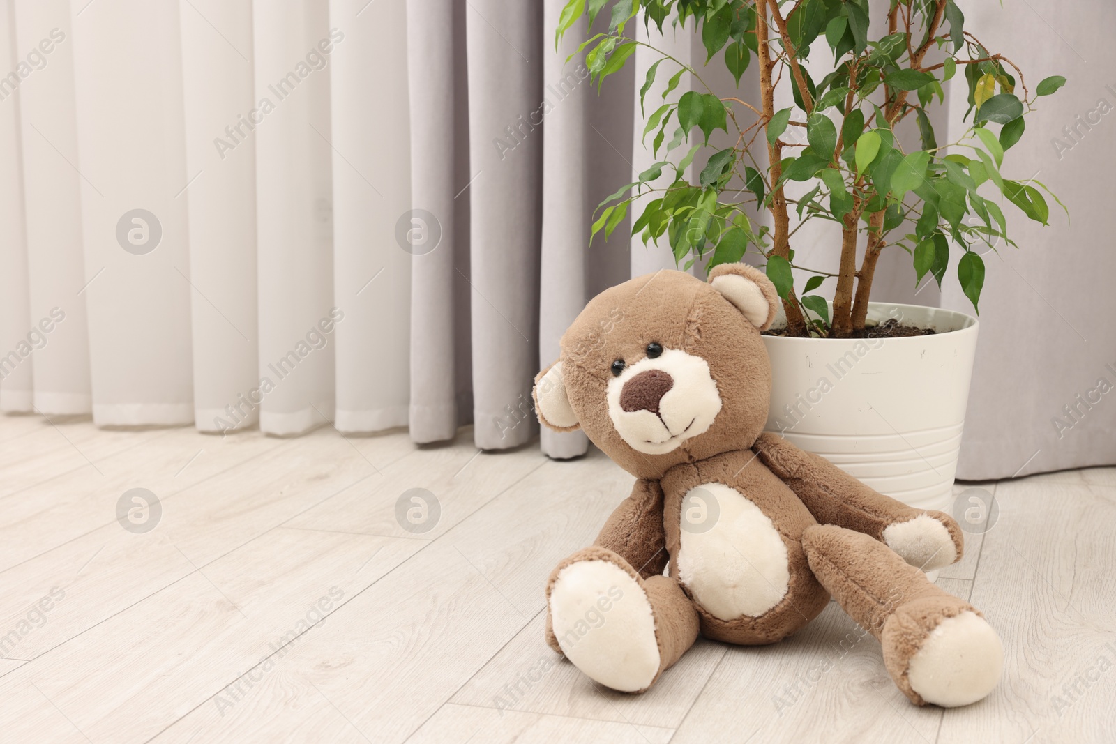 Photo of Teddy bear and houseplant on floor in room. Space for text