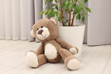 Photo of Teddy bear and houseplant on floor in room