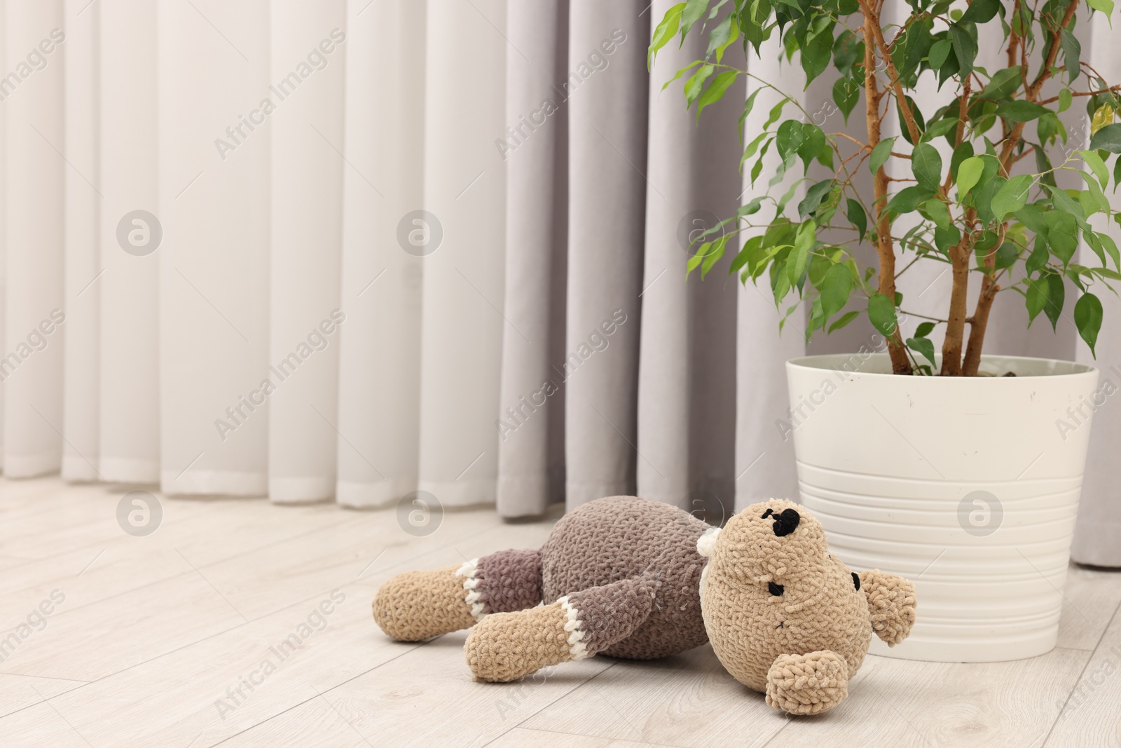 Photo of Lost knitted bear near houseplant on floor in room. Space for text