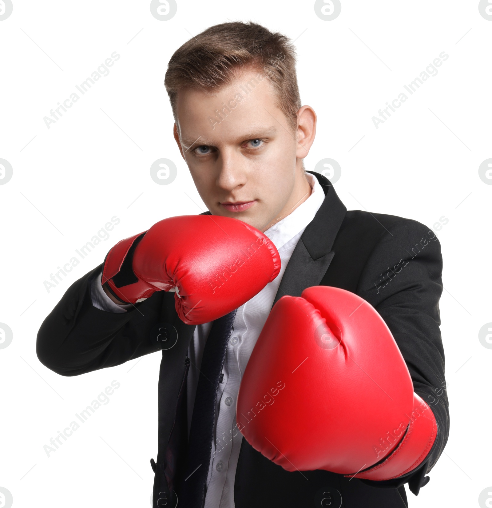 Photo of Competition. Businessman in suit wearing boxing gloves on white background