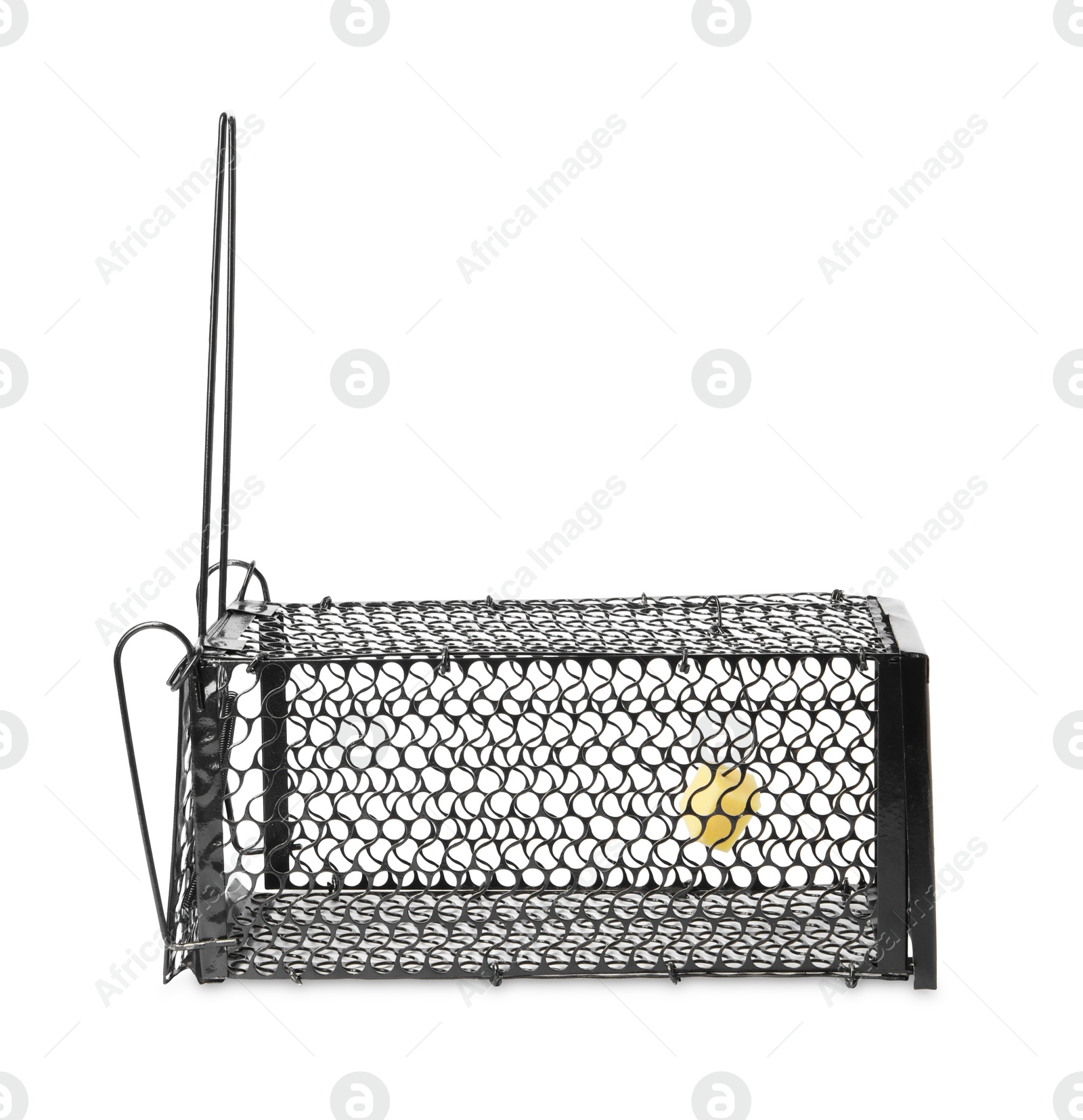 Photo of One metal mouse trap with bait isolated on white