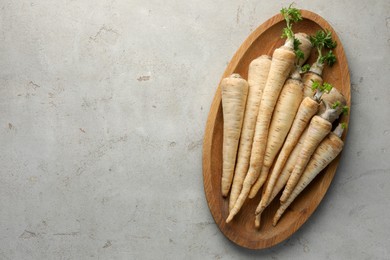 Photo of Many fresh parsley roots on grey table, top view. Space for text