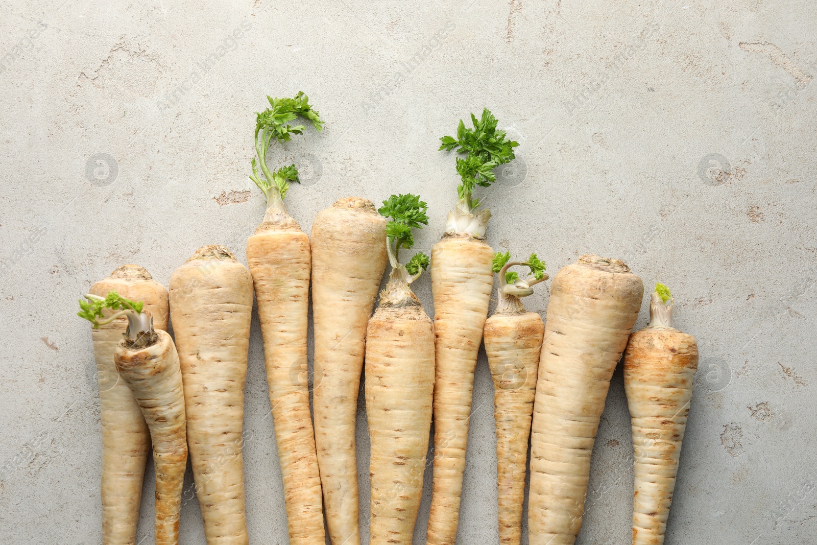 Photo of Many fresh parsley roots on grey table, flat lay