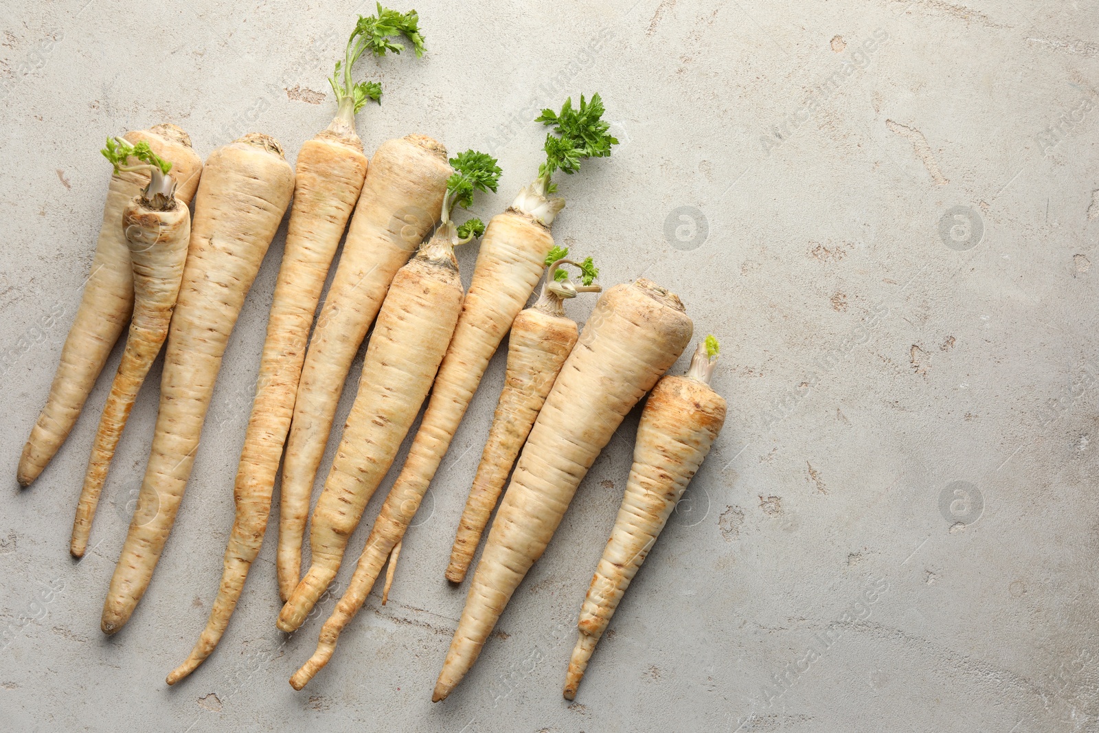 Photo of Many fresh parsley roots on grey table, flat lay. Space for text