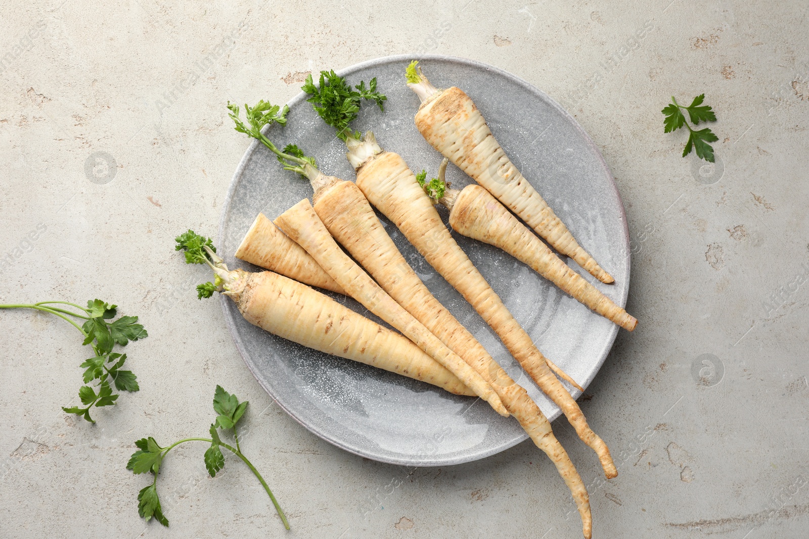 Photo of Fresh parsley and roots on grey table, top view