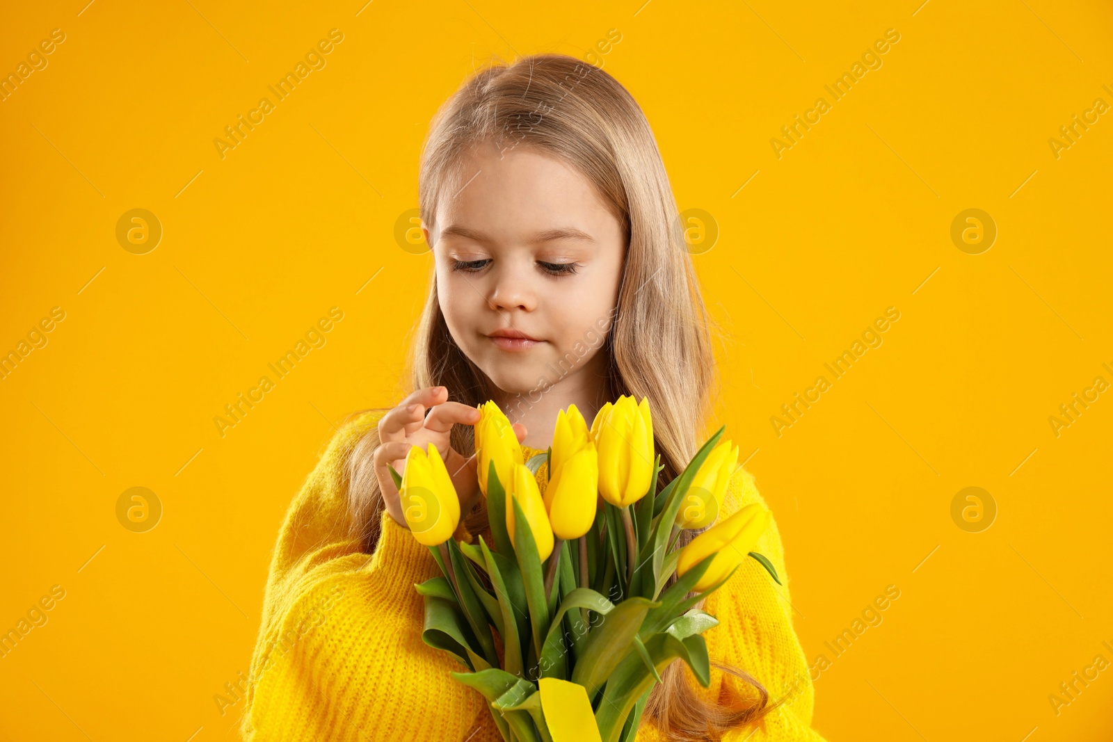 Photo of Cute little girl with beautiful yellow tulips on orange background. Spring season