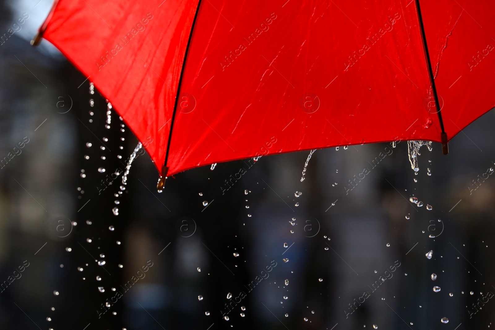 Photo of Open red umbrella under pouring rain outdoors, closeup