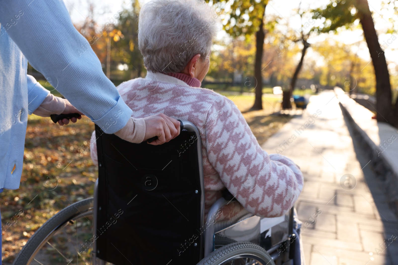 Photo of Caregiver with elderly woman in wheelchair at park, closeup