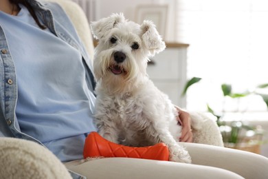 Photo of Cute dog with toy on owner's knees at home, closeup. Adorable pet