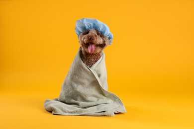 Photo of Cute dog with shower cap and towel on orange background