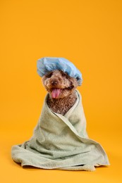 Photo of Cute dog with shower cap and towel on orange background