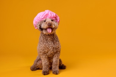 Photo of Cute dog with shower cap on orange background, space for text