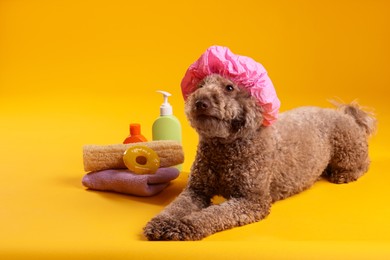 Photo of Cute dog with shower cap and other bath accessories on orange background