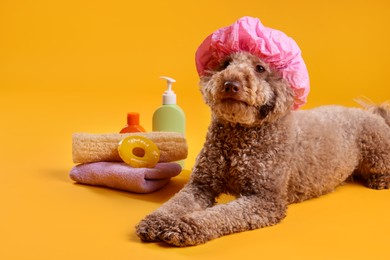 Photo of Cute dog with shower cap and other bath accessories on orange background