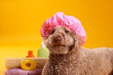 Photo of Cute dog with shower cap and other bath accessories on orange background