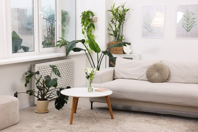 Photo of Feng shui. Stylish room with comfortable couch and houseplants